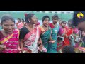 pakur raj high school 2 sohrai porob new pakur sohrai video 2025