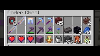 Going on killing spree (private smp)