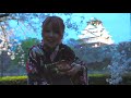 【osaka castle】directions！cherry blossom. magic 大阪城【japan】