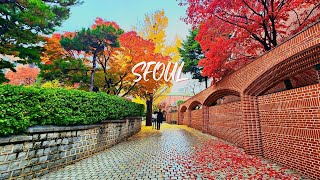 [4K Seoul] 다채로운 색의 향연 - 서울의 숨은 단풍 명소 명동성당과 뒷골목 풍경 I Myeongdong Cathedral in autumn