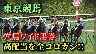 東京競馬に絞って人気薄馬券で穴馬狙いして、高配当を全ブチコミした結果