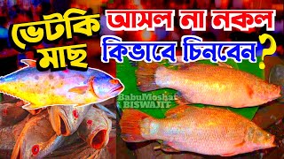 🔴Fish Market in Kolkata🐠🦐 কলকাতা মাছের বাজার💥 Wholesale Fish Market in kolkata | Bhetki Fish Cutting