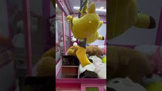 Daud playing claw machine 253 夹娃娃