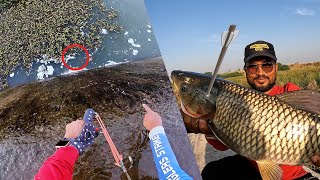 Slingshot fishing 😱😱BIG HUNT