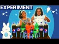 Science Experiment Coca Cola vs Mentos