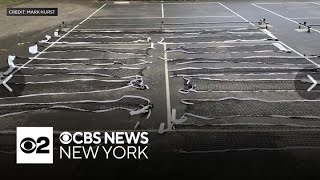 Pickleball court vandalism stuns New York City park