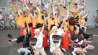 いなせ連 📍南越谷アンコール阿波踊り (南越谷駅南口アーケード下広場) 2024-09-28T15:45