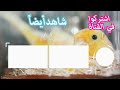 تغريد طائر كناري هائج يجبر أنثى الكناري على إتخاذ وضعية التلقيح canary singing training