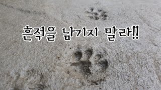 완전범죄는 없다