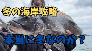 【チニング】ゼロチヌ　season3 　久しぶりの海岸は冬ではない！？【チヌ】