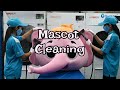 Mascot  Cleaning | Duo Nini Professional Cleaning Services