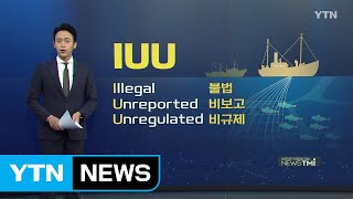 [뉴스TMI] 美, 6년만에 한국 '예비 IUU' 지정...IUU란? / YTN