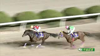 2021/12/26 佐賀競馬6R 中島記念 グレイトパール