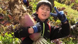 女山大根を五感で味わう会（佐賀県多久市）