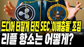 리플 충격 , 드디어 터질게 터진 SEC 이해충돌 #xrp