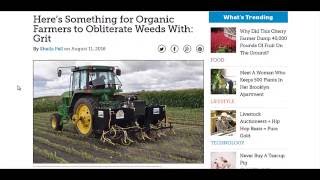 Sand Blasting Weeds Away and Fertilizing At The Same Time