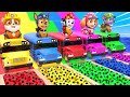 PAW Patrol Guess The Right Door ESCAPE ROOM CHALLENGE Animals Tire Game Cow Mammoth Elephant Tiger