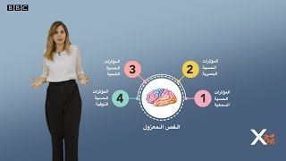 لماذا تشعر بالقرف والإشمئزاز؟ شاركونا القصص والتجارب | بي بي سي إكسترا