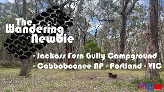 Jackass Fern Gully Campground - Cobboboonee NP - Portland - Victoria