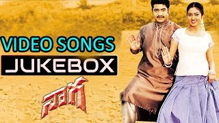 Naaga Movie Full Video songs Jukebox || Jr.N. T. R, Sadha