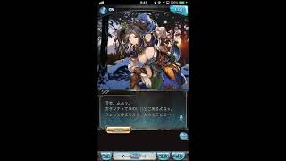 グラブル_限定ボイス_シグ_正月2017