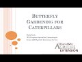 Butterfly Gardening For Caterpillars! 🐛🦋*webinar Series*