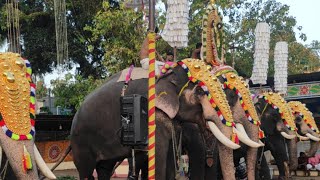 ഇന്ന് അരൂരിൽ 5 ആനകൾ ! പുതുപ്പള്ളി കേശവൻ ഗുരുവായൂർ ഗോകുൽ sarath prakash is live