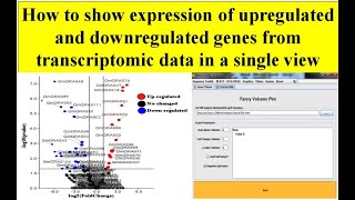 Volcano plot | RNA seq data with volcano plot | create Volcano plot in TBTool