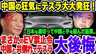 【海外の反応】【テスラ大誤算】中国狂気の方針転換でテスラ終焉へ！イーロンマスクは発狂！《 あっぱれジャパン🇯🇵》