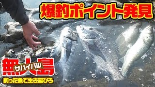 【無人島2泊3日】釣った魚で生き延びろ‼#6