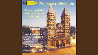 Staffansvisa III (Staffan's Song) : Staffansvisa III (Staffan´s Song) (arr. L. Lunden)