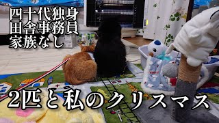 【田舎事務員一人暮らし】猫2匹と過ごす何も変わらないクリスマス【四十代独身ですが何か】