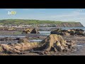 fossil forest recent storm reveals ancient trees that are more than 4 500 years old