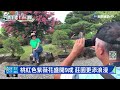 中彰紫薇花盛開 遊客賞花拍美照｜華視新聞 20220703