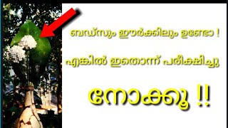 ഇതുകൊണ്ട് ഇങ്ങനേം പ്രയോജനമുണ്ടോ? 😲