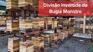 Dividi a Bugia Monstro através do método da Divisão Invertida