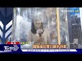 旅展開賣即現5百萬刷手 500萬起跳 最高720萬｜tvbs新聞 @tvbsnews01