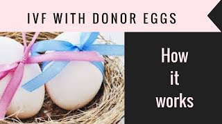 IVF with Donor Eggs: How it works, choosing an Egg Donor