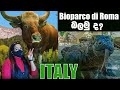 Bioparco di Roma |  zoological garden in Italy | Wonderful experience in Rome