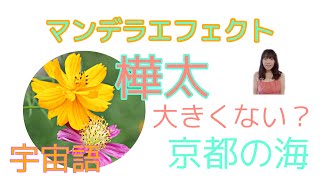 マンデラエフェクト  樺太大きくない？京都の海　パラレルワールド　宇宙語メッセージ　ライトランゲージ