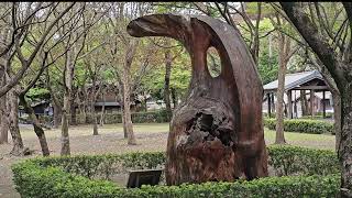 24 Taiwan 02 Yilan Luodong Forestry Culture Park 4K MEDIUM FR30