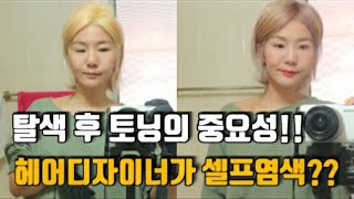 [최디헤어티비] 탈색 후 노란끼 없애기!!염색토닝의 중요성