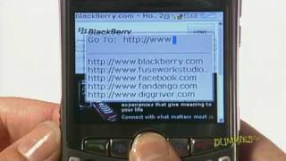 How to Surf the Web with Your BlackBerry For Dummies