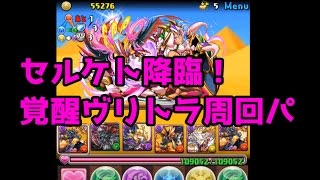 パズドラ実況　新降臨！セルケト降臨！絶地獄級　周回編成　覚醒ヴリトラ