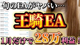 【✨神EA✨】完全放置でこの利益を出し続ける王騎EAがやっぱりスゴすぎる❗️もう1つの収入源🫶【FX自動売買】