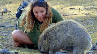 Bit by a WOMBAT! - Free Range Sailing Ep 129