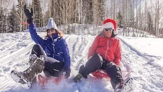 EcoFlight's Holiday Sled Race