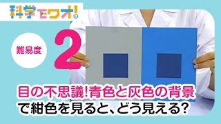 【自由研究】科学実験！目の不思議！青色と灰色の背景で紺色を見ると、どう見える？【科学でワオ！365】