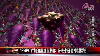 20180503 發現癌症死因真相！中研院：''PSPC1''關鍵基因