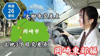 【愛知県岡崎市】県道26号線をドライブ！飲食店はいくつ？！(東部編)